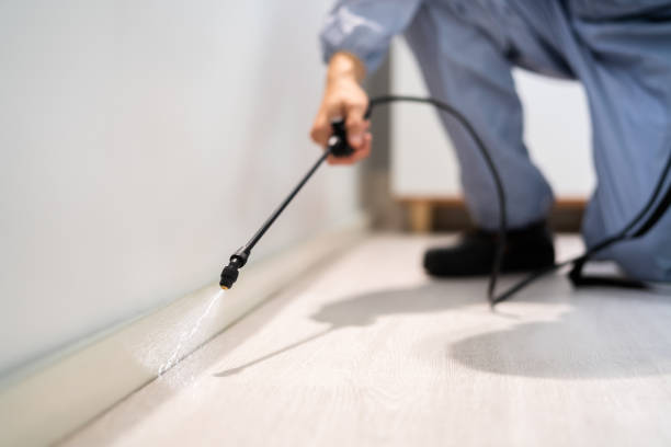 Wildlife Control Services in Grand Terrace, CA