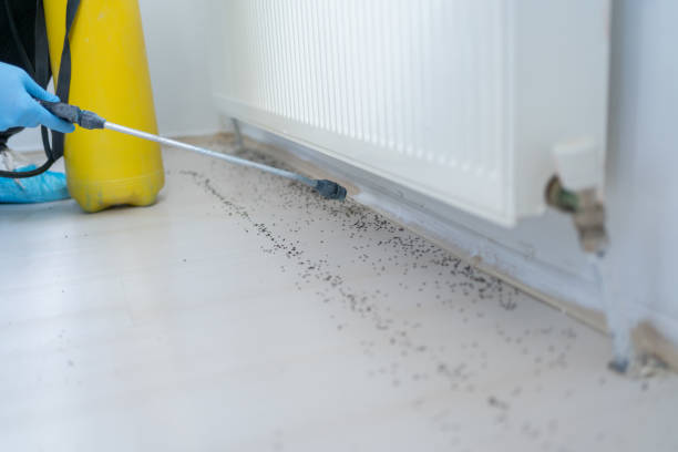 Pest Control Cost in Grand Terrace, CA
